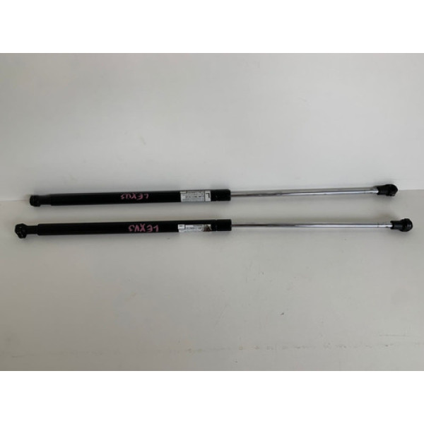 Par Amortecedor Capo Dianteiro Lexus 460 2007 2047