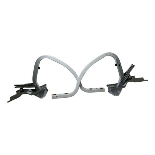 Par Dobradica Tampa Traseir Renault Fluence 844011412r -6857