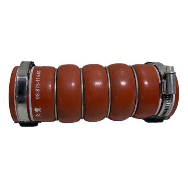 Mangueira Intercooler C4 Cactus 2023 Thp 9687511480 5965