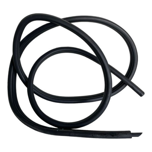 Borracha Porta Dianteira Esquerda Bmw 325 2012 1541