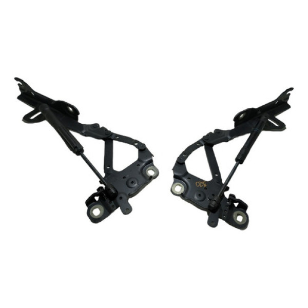 Par Dobradiça Capo Dianteiro Bmw 320 2014 A152