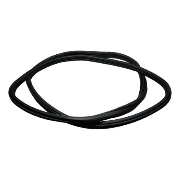 Borracha Porta Tras Dir Bmw 320 2014 A122