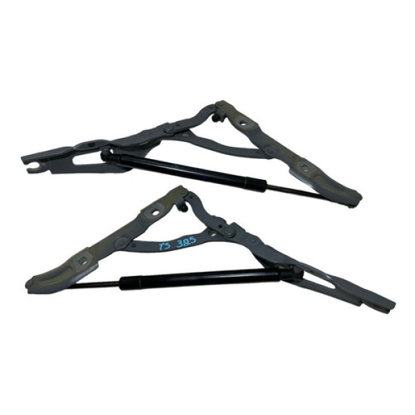 Par Dobradica Tampa Traseira Bmw 325i 2012 79758000 5652