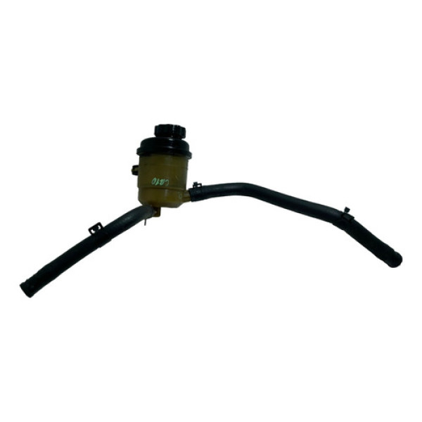 Reservatório Óleo Direção Hidráulica Kia Cerato 2010 -8762