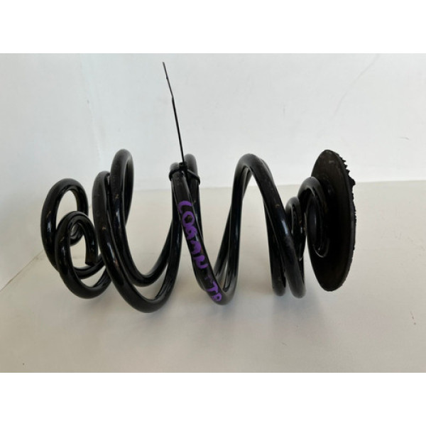 Par Molas Traseiras Renault Logan 2020 Original -2902