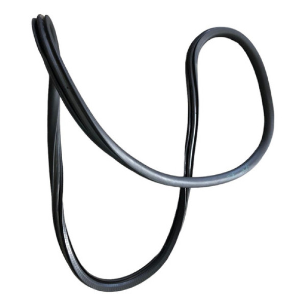 Borracha Porta Traseira Esquerda Peugeot 208 2022 -cx25