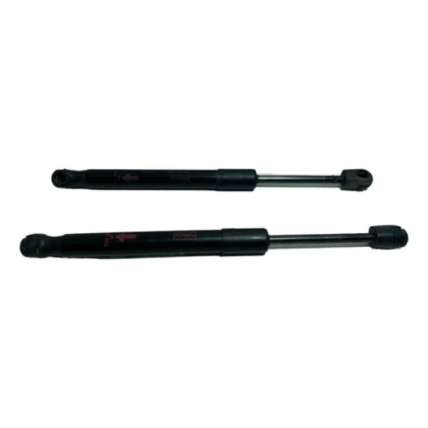 Par Amortecedor Tampa Traseira Fusion 2010 A 2012 -8282