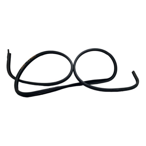 Borracha Porta Traseira Direita Range Rover Vogue 2004 -7857